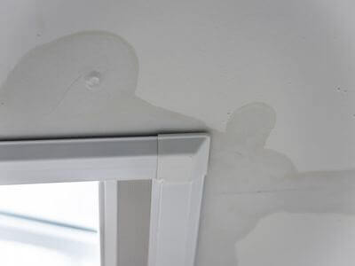 About Beverly Hills Black Mold Removal Pros - black mold removal experts in Beverly Hills